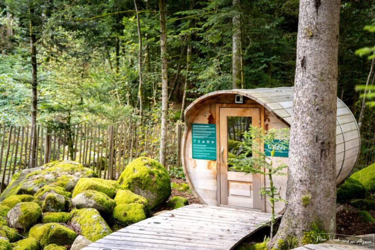 Quelles sont les activités au Petit Forestier à Saint-Ouen-l'Aumône 31 activites de plein air au petit forestier