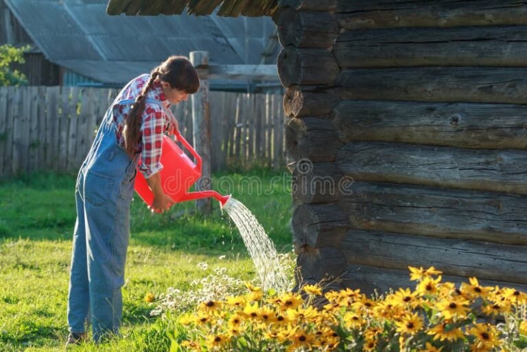 Comment arroser efficacement l'eau des fleurs pour les garder en santé 15 arrosoir versant de leau sur des fleurs