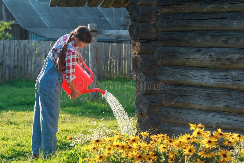 Comment arroser efficacement l’eau des fleurs pour les garder en santé