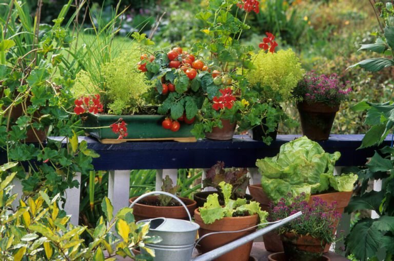 Comment créer un mini potager sur votre balcon en 5 étapes simples 15 balcon fleuri avec pots de legumes