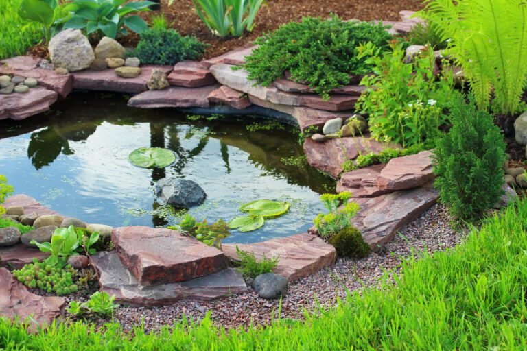 Comment choisir le meilleur bassin à poisson hors sol pour votre jardin 38 bassin a poisson decoratif dans un jardin