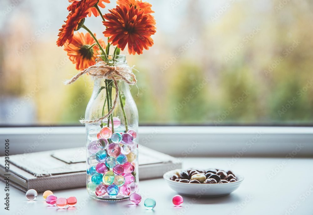 Comment utiliser des billes d'eau pour le bien-être de vos plantes 3 Comment utiliser des billes d’eau pour le bien-être de vos plantes