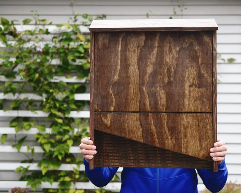 Comment fabriquer une boîte à moustiques pour attraper ces insectes 8 boite a moustiques diy en bois