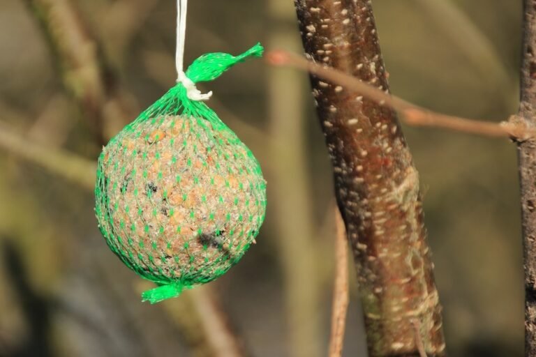 Comment fabriquer des boules de graisse pour les oiseaux chez soi 19 boules de graisse suspendues dans un arbre