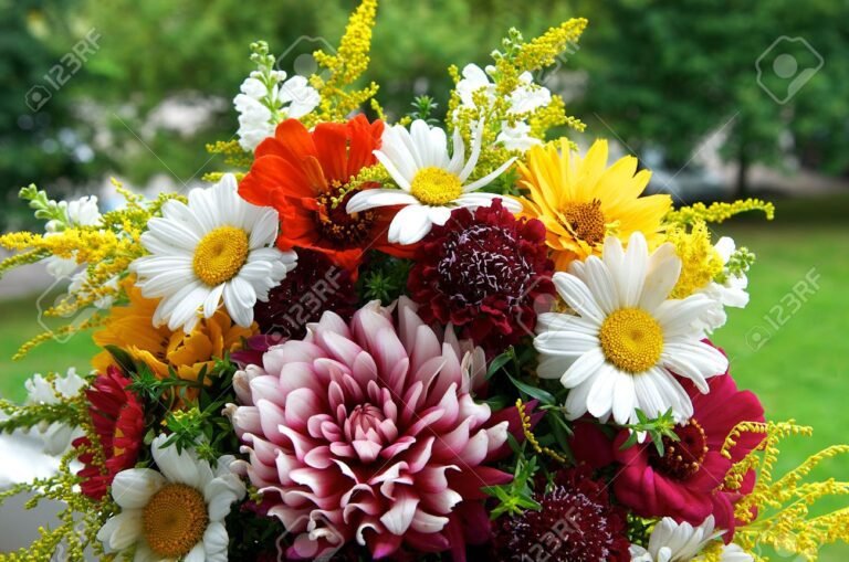 bouquet de fleurs colorees et variees