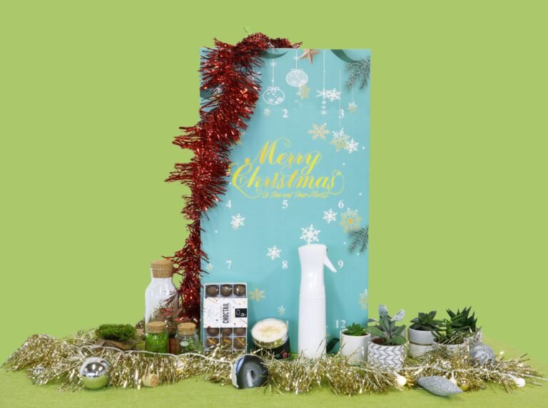 calendrier de lavent avec plantes variees