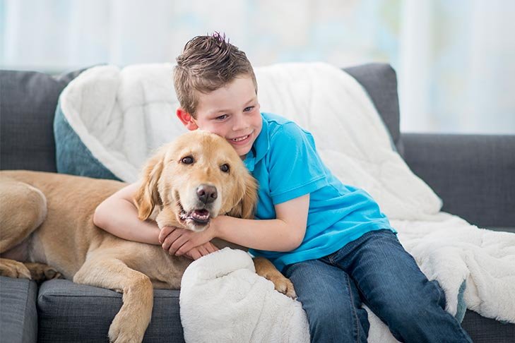Que faire si votre chien mord un enfant ou un adulte