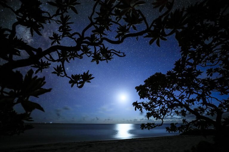 ciel etoile avec la lune visible