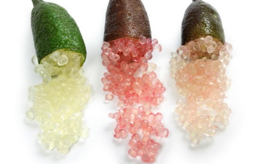 Où Acheter Du Citron Caviar : Les Meilleurs Endroits 4 Où Acheter Du Citron Caviar : Les Meilleurs Endroits