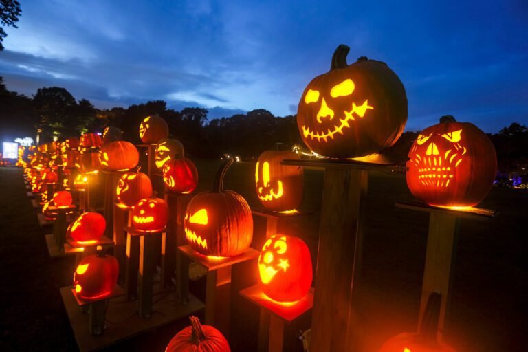 citrouille sculptee illuminee dans la nuit