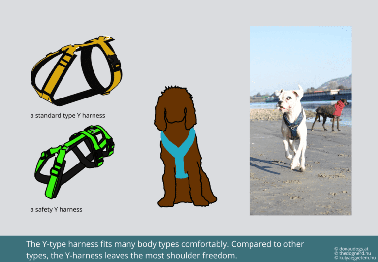 comparaison entre harnais en y et h