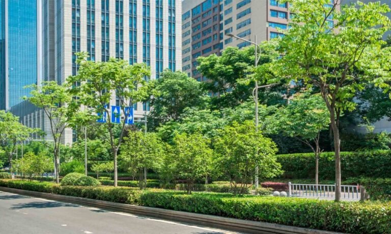 Qu'est-ce que la coulée verte à New York et pourquoi est-elle célèbre 6 coulee verte a new york nature urbaine