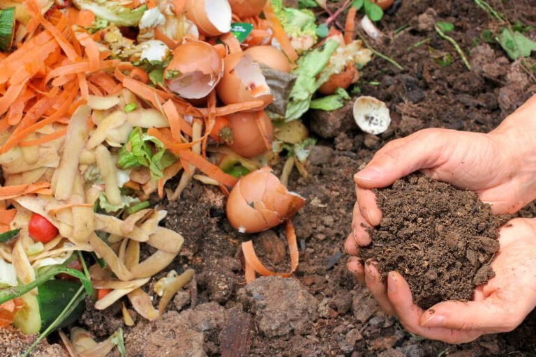 Quels déchets peut-on mettre dans un composteur pour un compost réussi 9 dechets organiques varies dans un composteur