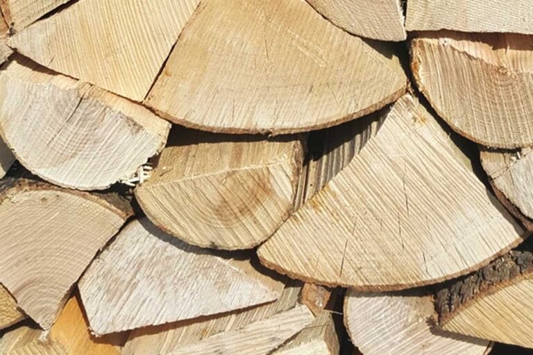 Quel type de bois est le plus adapté pour un poêle à bois 34 differents types de buches de bois