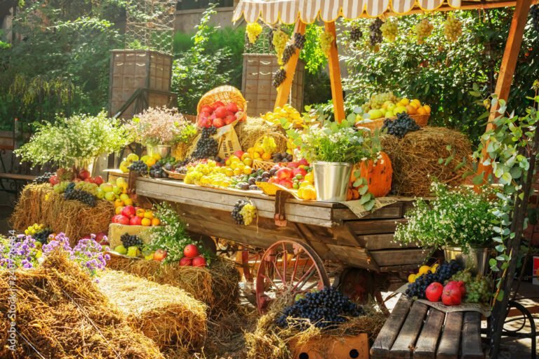 fruits dautomne colores sur un marche