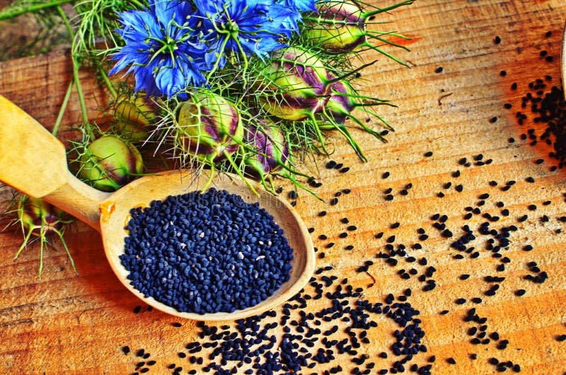 Quels sont les bienfaits de la nigelle (cumin noir) pour la santé