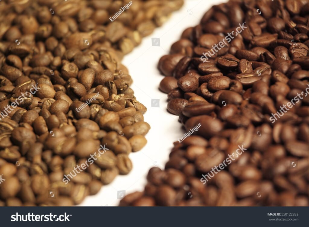 Quelle est la différence entre l'Arabica et le Robusta en café 5 Quelle est la différence entre l’Arabica et le Robusta en café