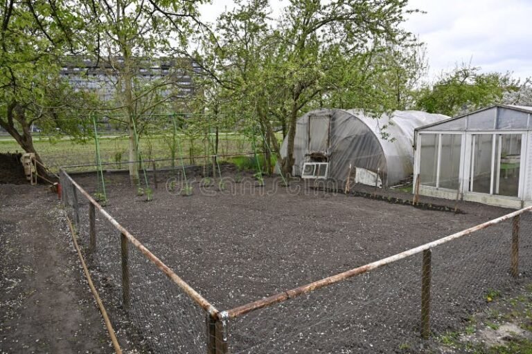 Comment clôturer efficacement son terrain avec du grillage 4 grillage de jardin entourant un terrain