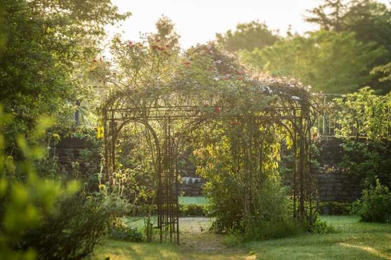 Pourquoi visiter La Gacilly et découvrir l'univers d'Yves Rocher 19 jardin botanique fleuri a la gacilly
