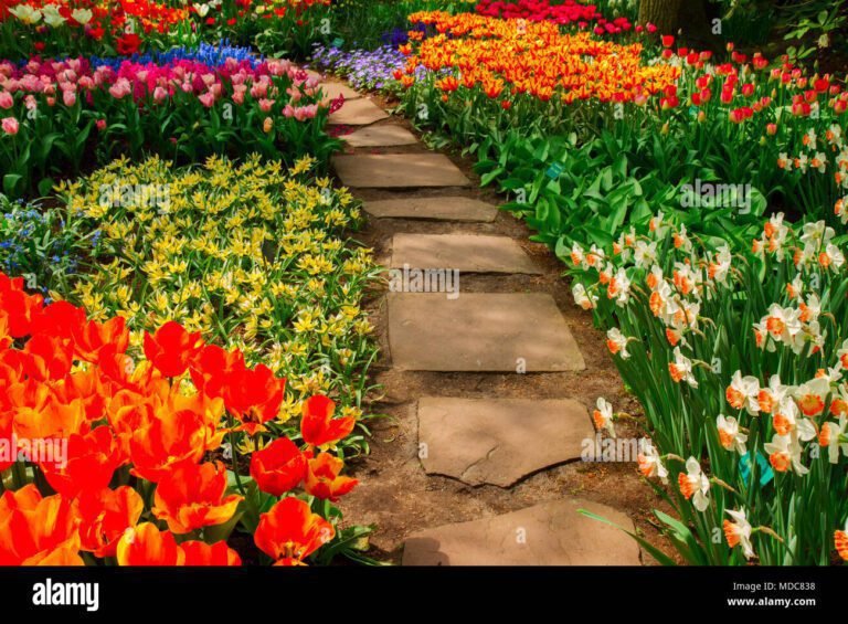 jardin fleuri avec chemin sinueux