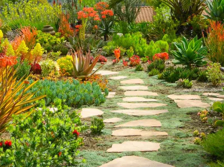 Comment créer un jardin méditerranéen : conseils et inspirations 11 jardin mediterraneen avec plantes colorees