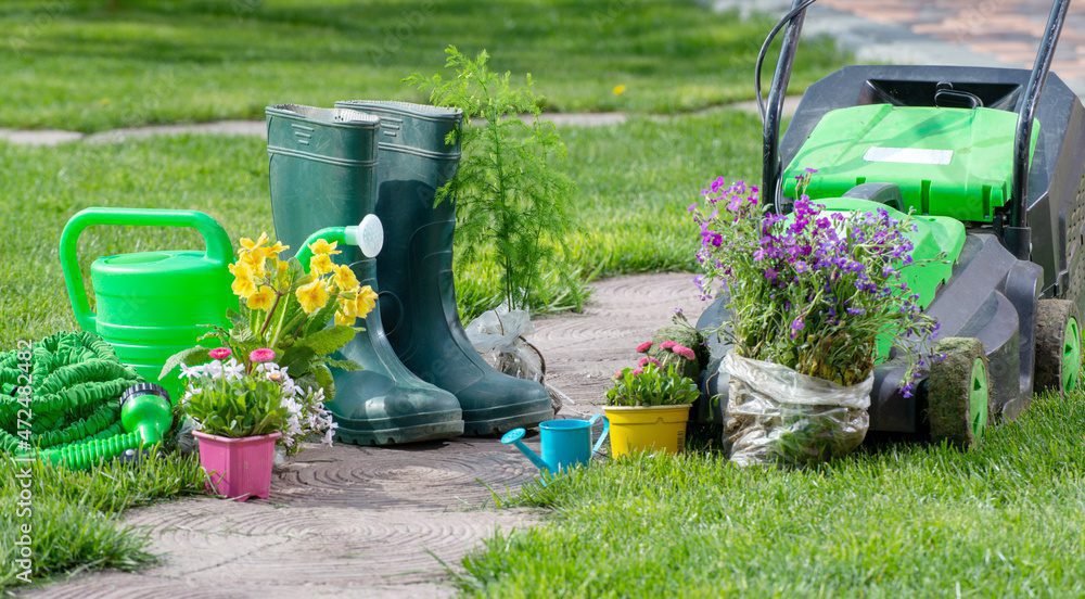 Comment créer un espace vert en tant qu’auto-entrepreneur