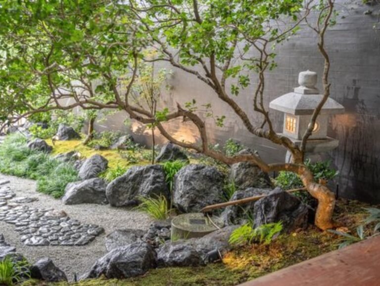 jardin zen avec pierres et plantes