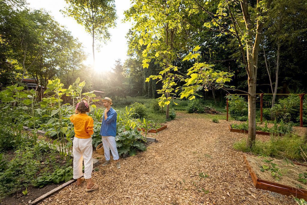 Quel est le contenu et les débouchés du bac pro aménagements paysagers