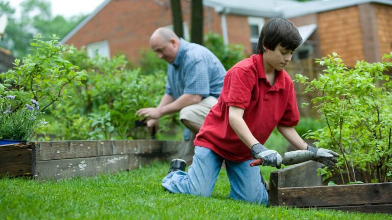 Quelles formations pour adultes dans le secteur des espaces verts 15 jardinier en formation dans un jardin