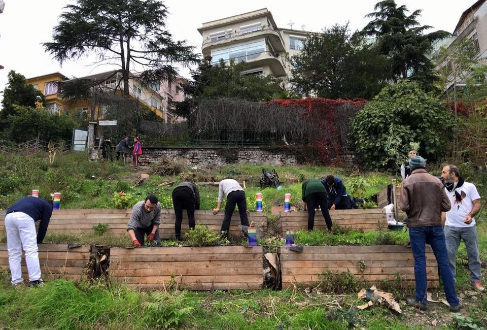 jardinier paysagiste en action dans un jardin