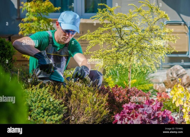 Quelles sont les options de formation jardinier paysagiste avec GRETA 19 jardinier paysagiste en pleine action