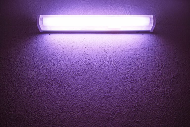 Quelle est la meilleure lampe à UV pour faire pousser vos plantes 21 lampe uv emettant une lumiere violette