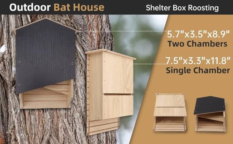 Comment construire une maison adaptée pour les chauves-souris 37 maison en bois pour abriter les chauves souris
