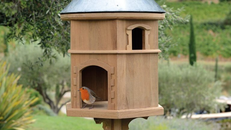 maison en bois pour oiseaux dans un jardin