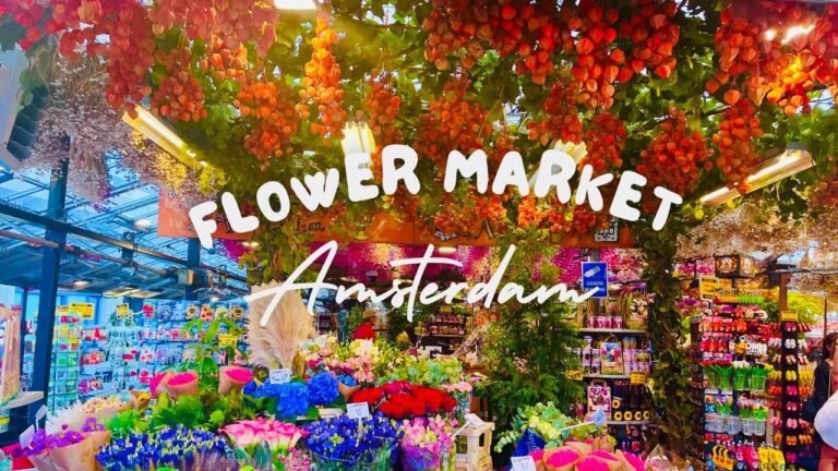Quel est le meilleur moment pour visiter le marché aux fleurs d'Amsterdam 12 marche aux fleurs damsterdam en pleine floraison