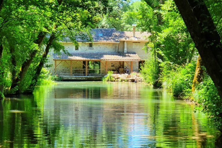 Quelles sont les attractions et l'histoire du Moulin Vert à Champigny 16 moulin vert entoure de verdure et deau