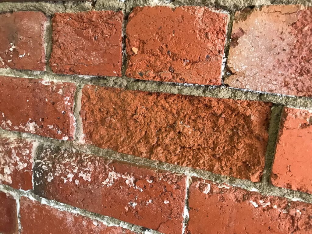 Que faire pour résoudre un problème de mur extérieur humide