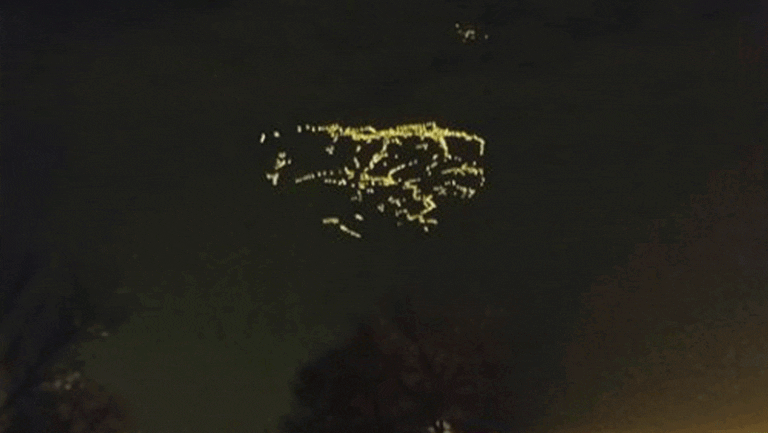 Qu'est-ce que l'Oiseau de Nuit à Marseille et que propose-t-il 41 oiseau de nuit illumine dans la nuit