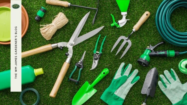 Quel matériel faut-il pour créer un bassin extérieur chez soi 22 outils de jardinage et materiaux pour bassin