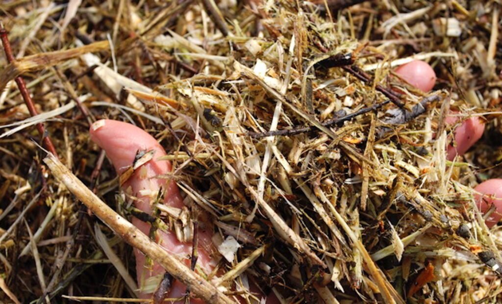 paillage en bois rameal fragmente au jardin