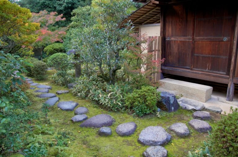 Comment choisir des pas japonais chez Gamm Vert 18 pas japonais varies dans un jardin