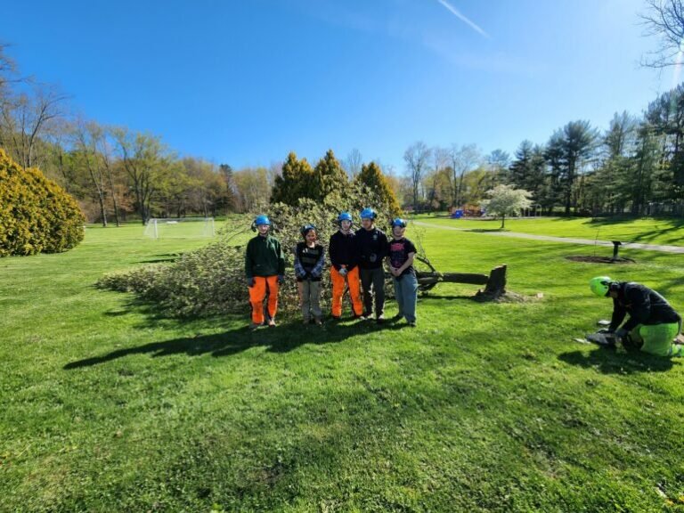 Comment trouver un BTS en alternance dans l'aménagement paysager 38 paysage verdoyant avec etudiants en formation