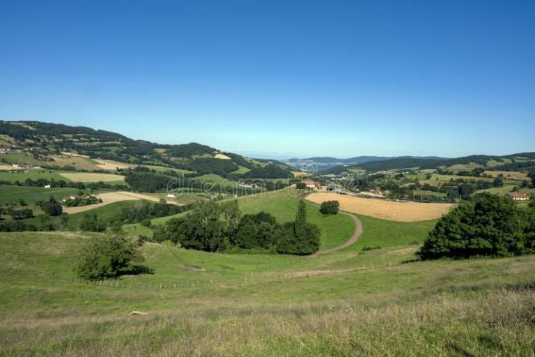 Quels sont les meilleurs espaces verts à explorer dans les Monts d'Or 31 paysage verdoyant des monts dor en ete