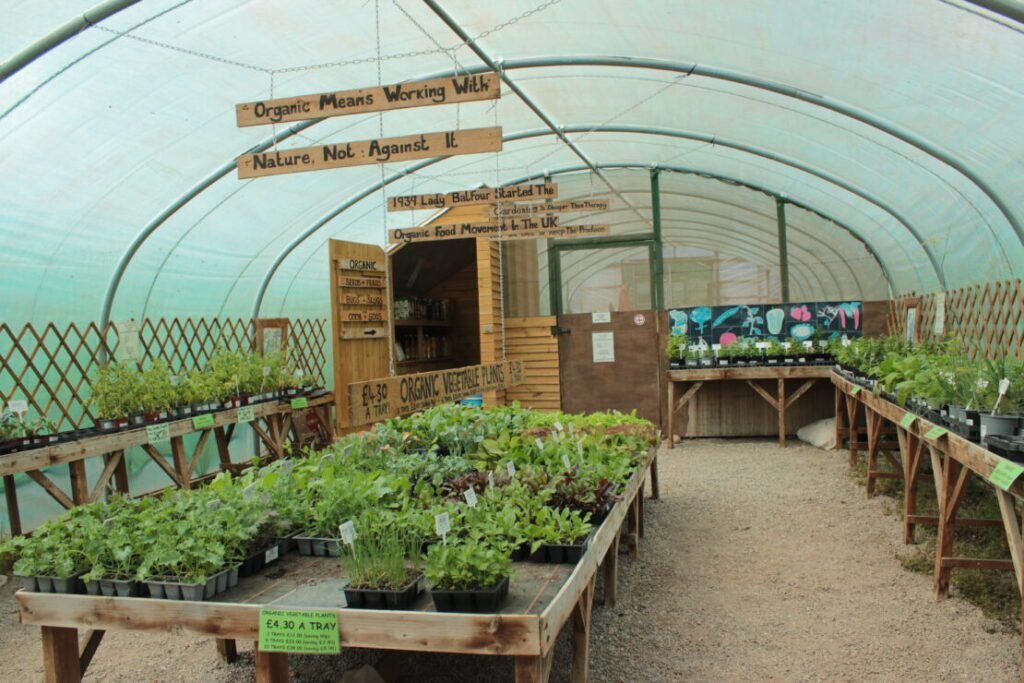 Où Trouver Une Pépinière Bio En Ligne Fiable et Abordable 7 Où Trouver Une Pépinière Bio En Ligne Fiable et Abordable