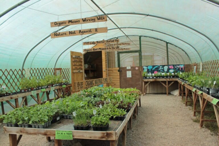 pepiniere bio avec plantes verdoyantes