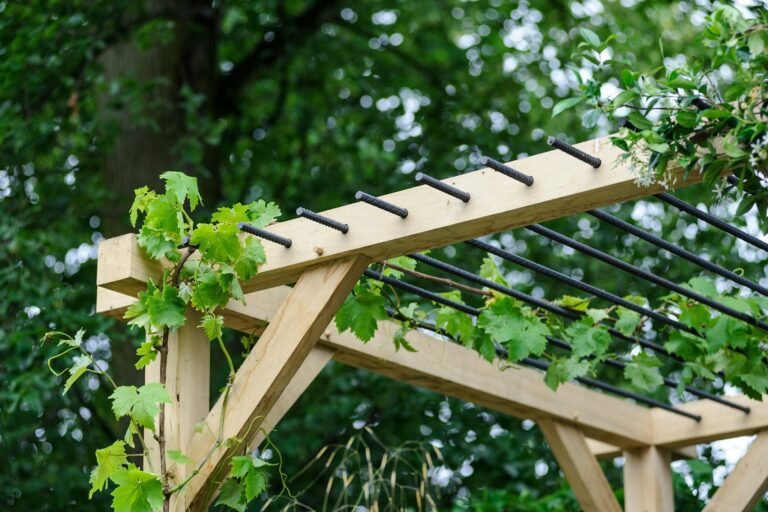 Comment choisir une pergola pour plantes grimpantes chez Brico Dépôt 15 pergola en bois avec plantes grimpantes
