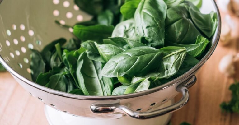 plantes medicinales pour tension arterielle