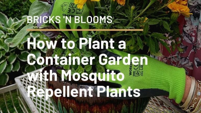 Comment éloigner naturellement les limaces et escargots du jardin 14 plantes repulsives dans un jardin verdoyant