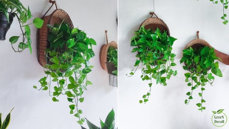 Comment intégrer des plantes dans un cadre mural pour décorer votre intérieur 14 plantes suspendues sur un mur decoratif