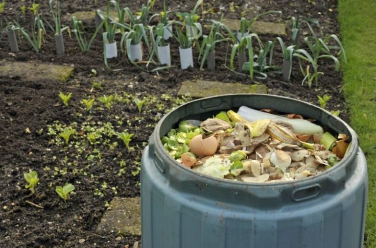 Le compostage est-il obligatoire dans votre commune ou votre région 25 poubelle de compost au jardin